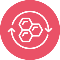 Zellschutz von innen